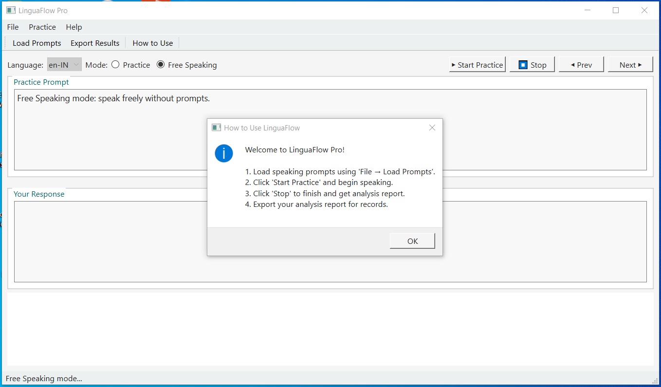 LinguaFlow Pro Appearance